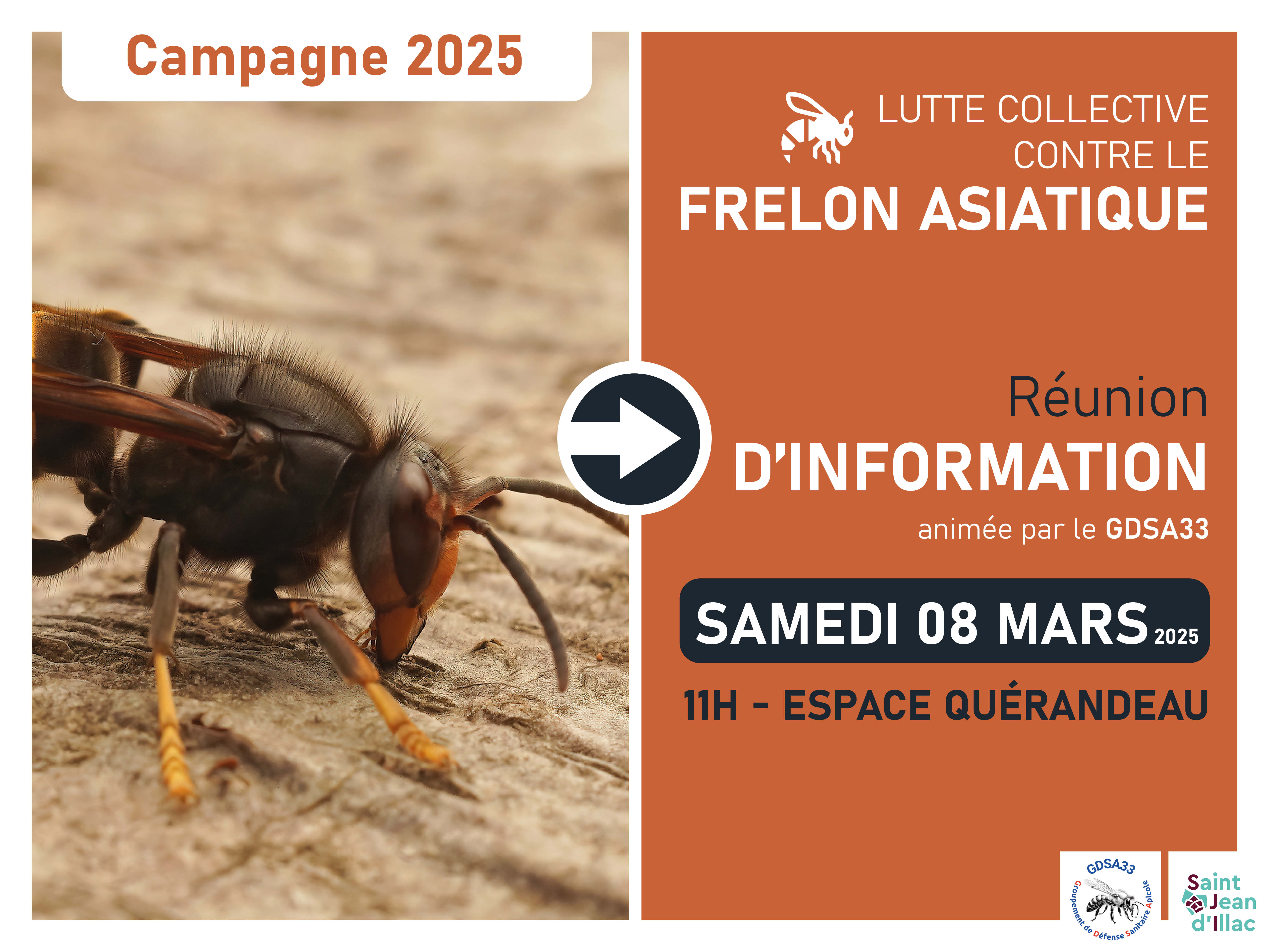 Réunion d'information - Frelon asiatique