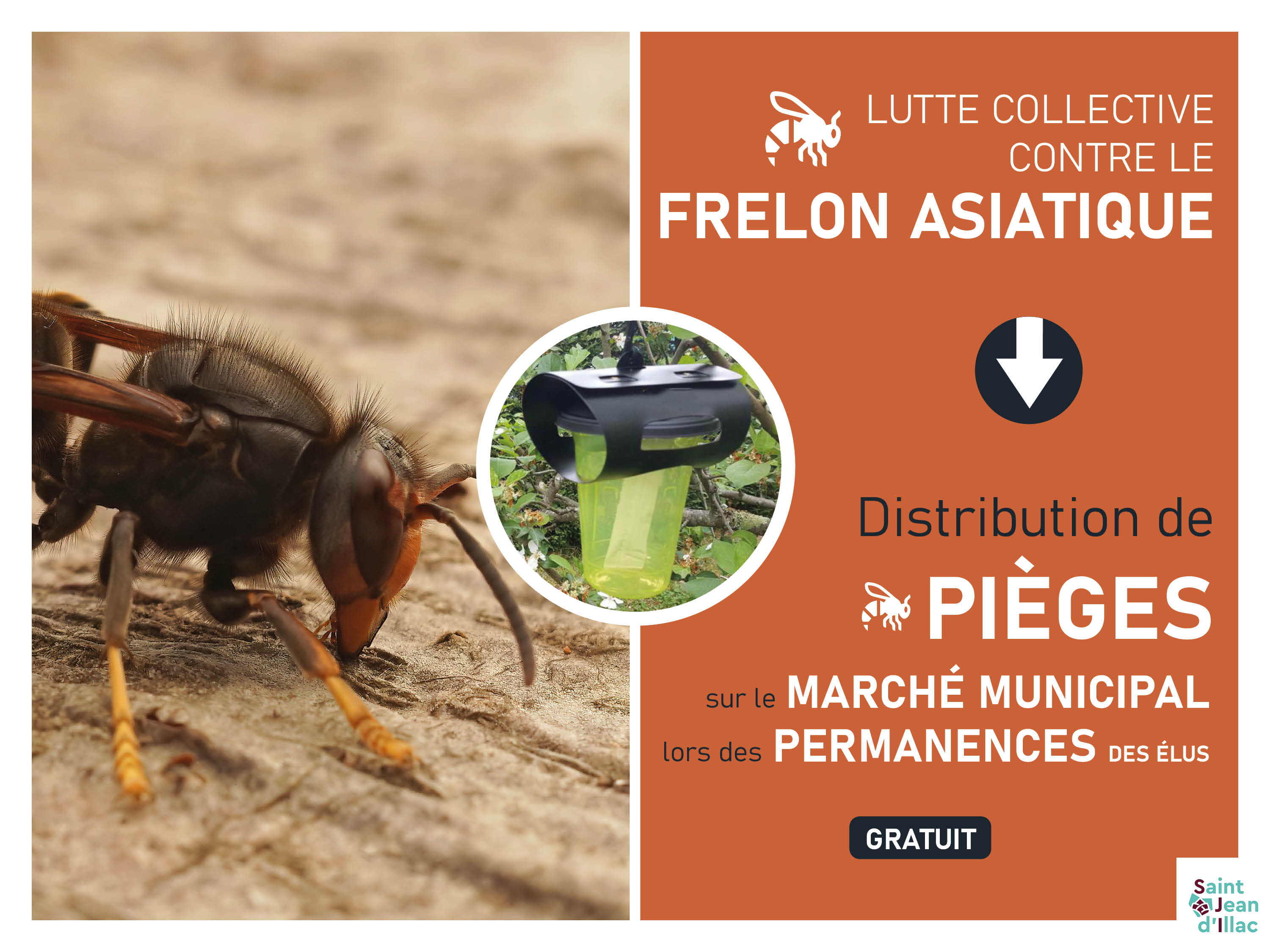 Frelons asiatiques - Distribution de pièges 