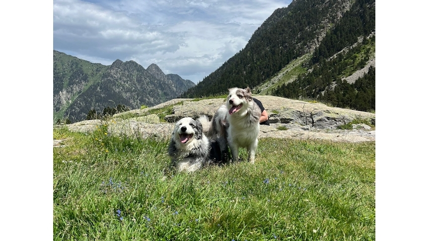 Les Pattounes en Douceur 