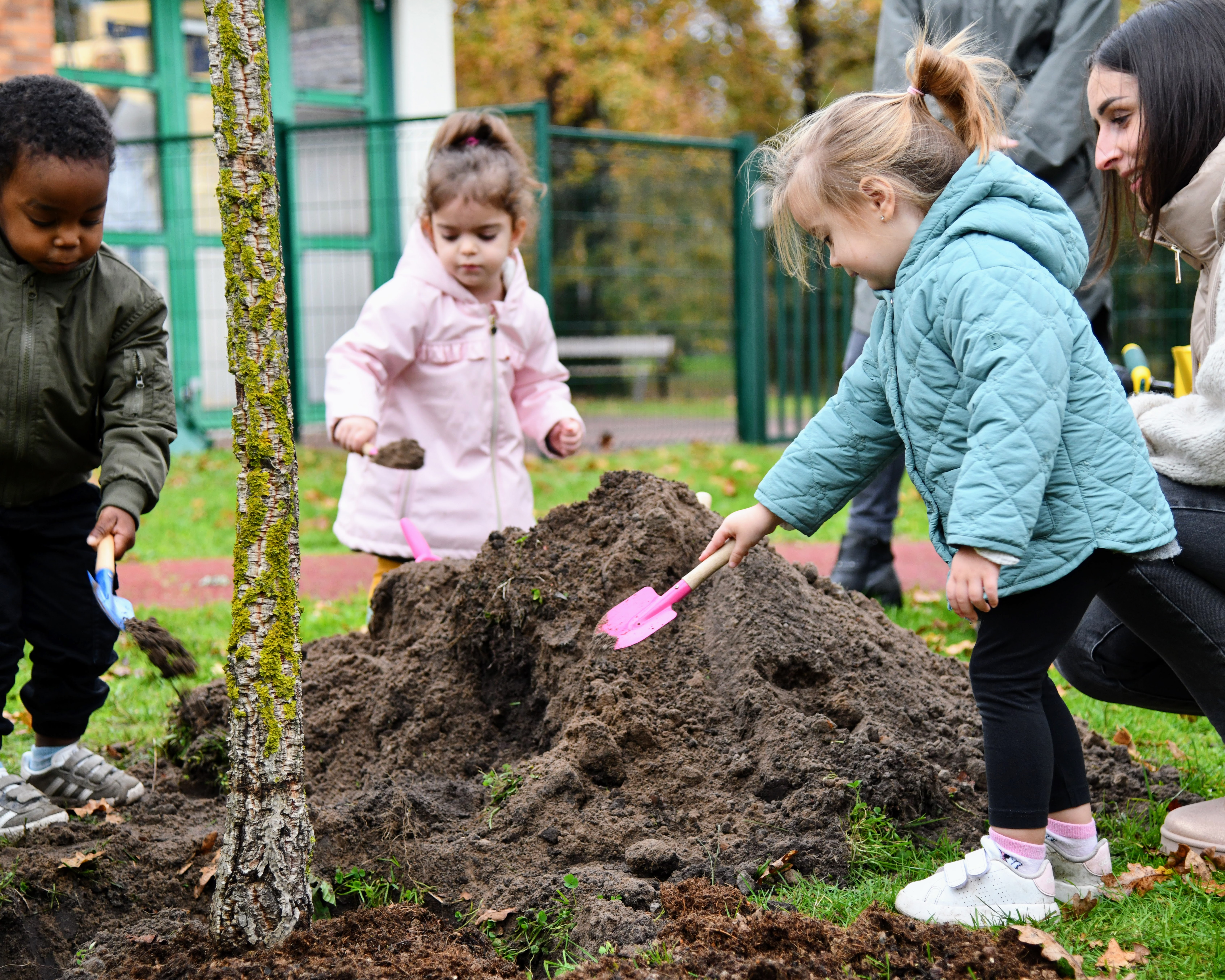 Plantation pour la Sainte-Catherine