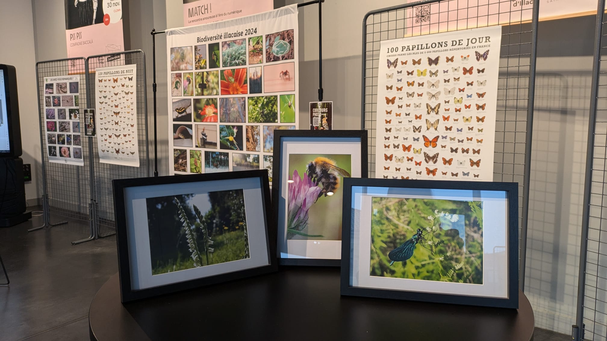 Concours photo biodiversité illacaise - Remise des prix
