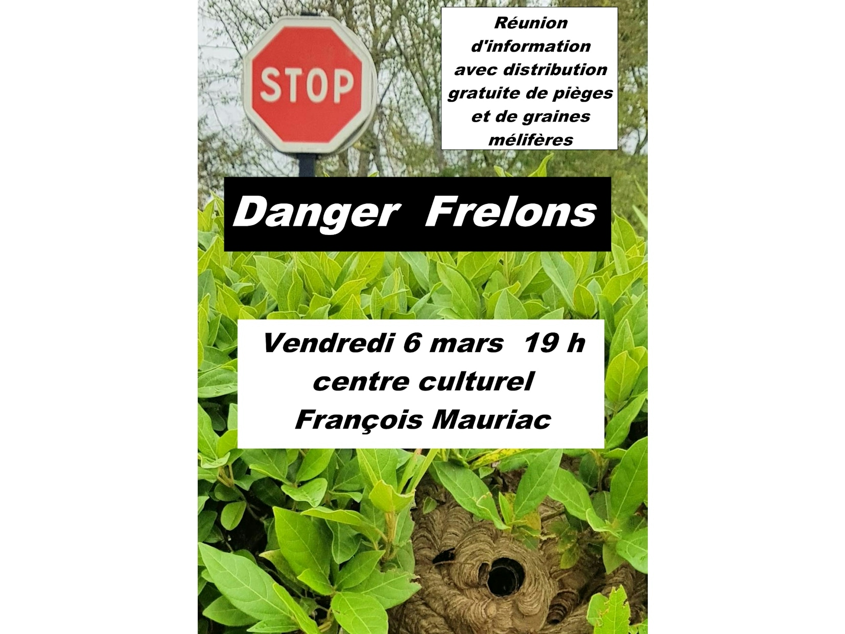 Conférence sur le frelon asiatique