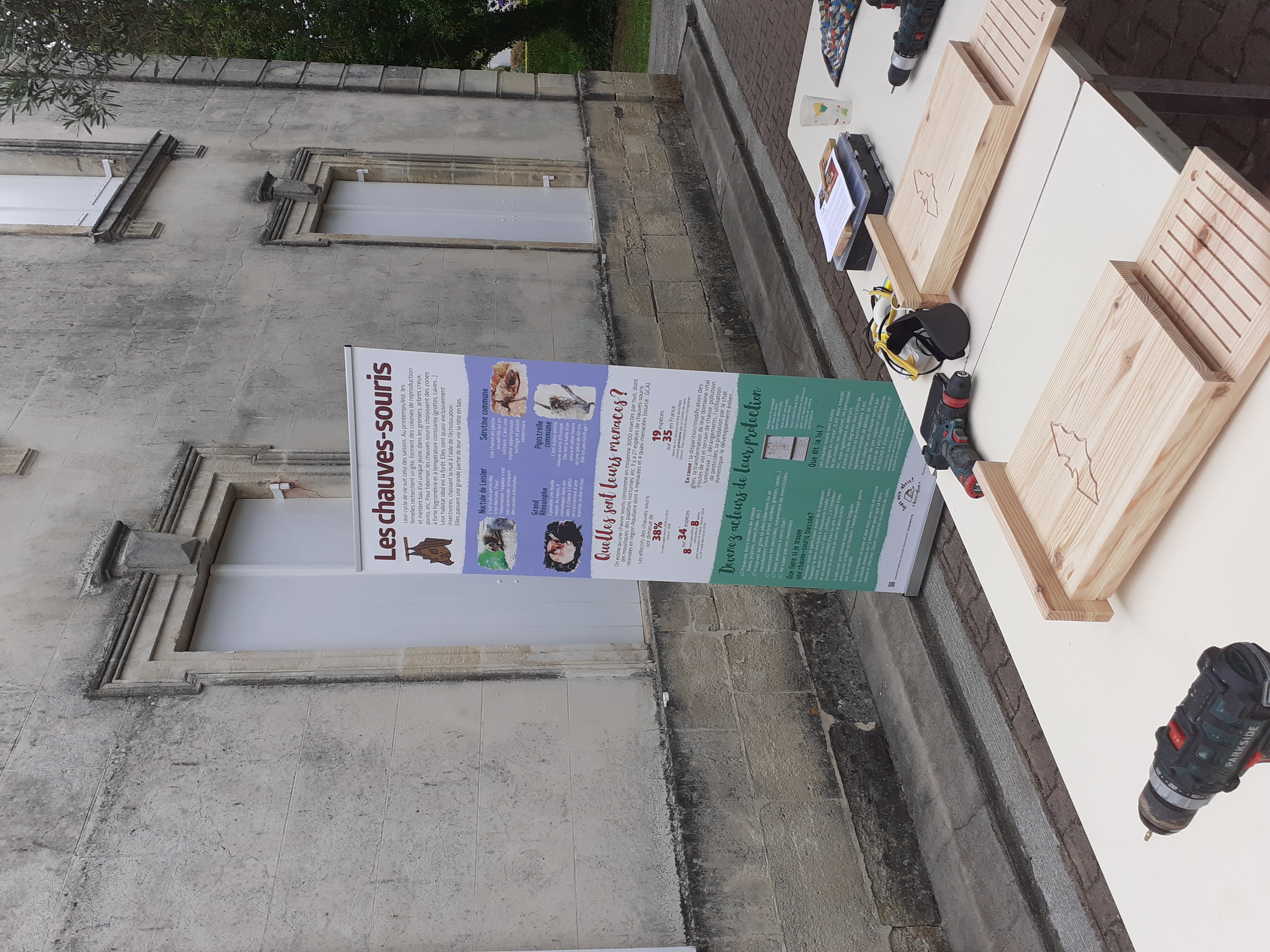 Atelier de montage de nichoirs à chauves-souris