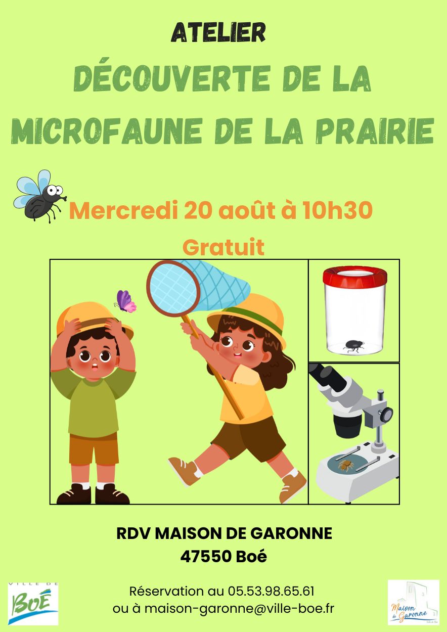 Découverte de la microfaune de la prairie