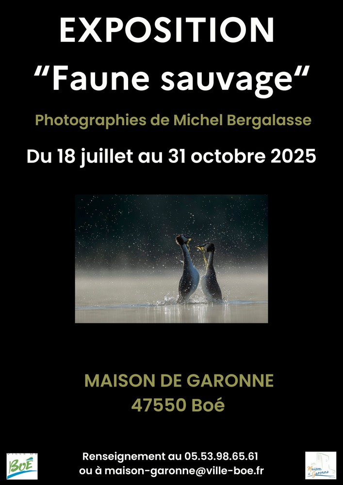 Exposition photographique « Faune sauvage » de Michel Bergalasse