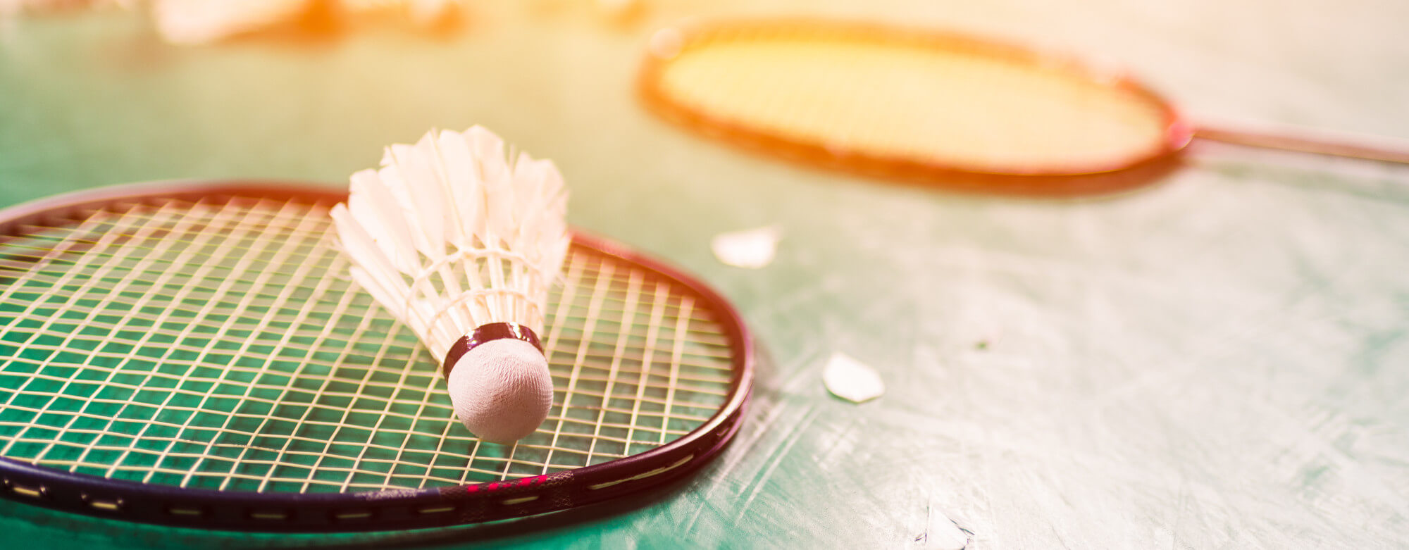 Club de Badminton