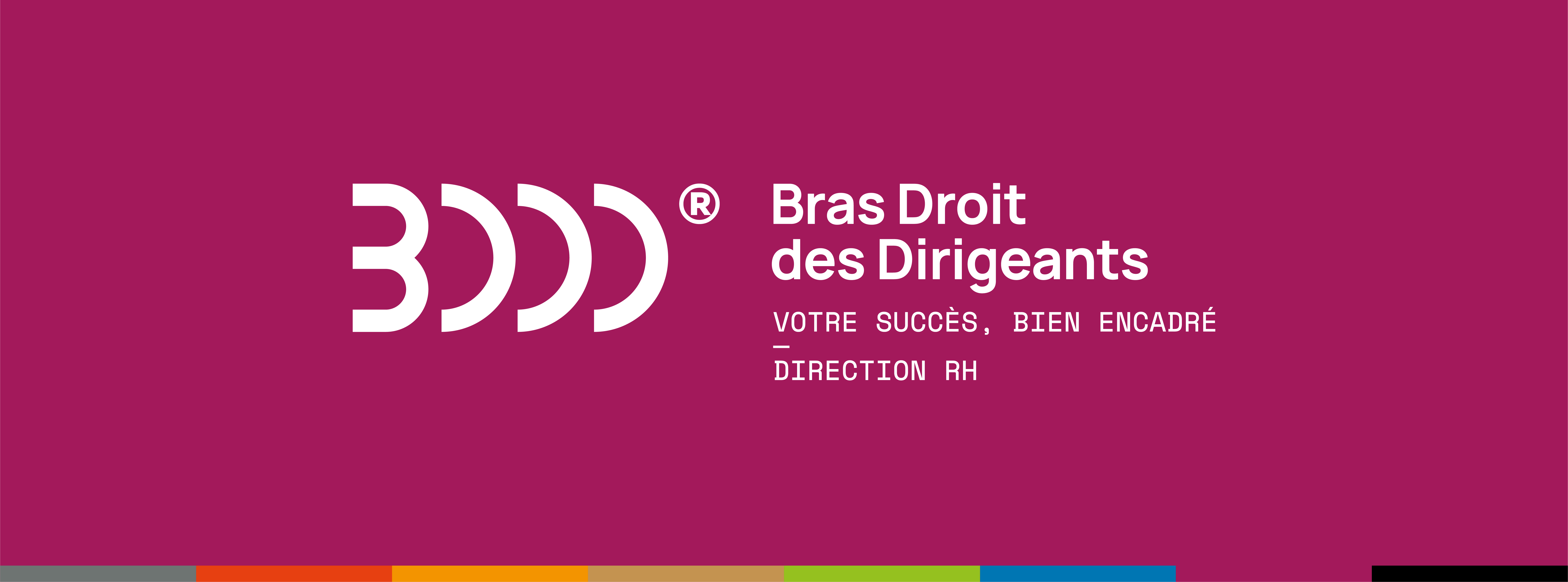 Bras Droit des Dirigeants Ressources Humaines