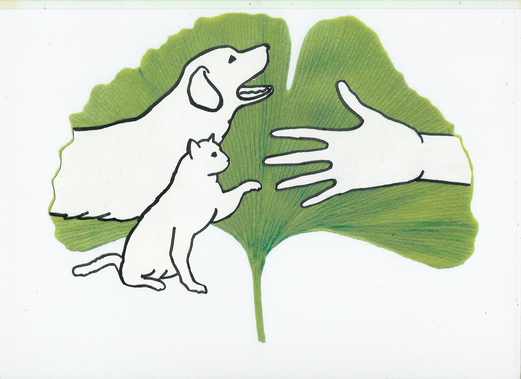 Cabinet vétérinaire du Ginkgo