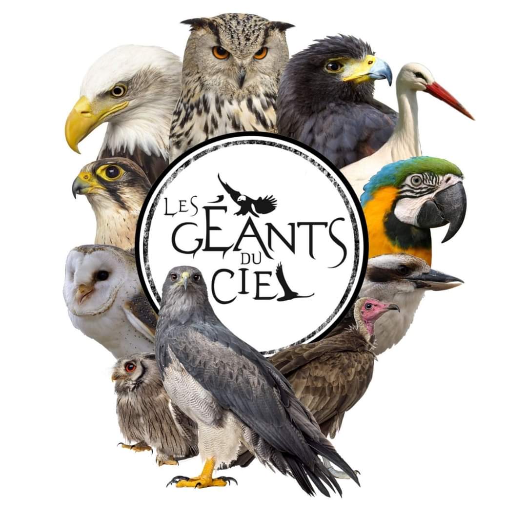 Présentation des troupes 