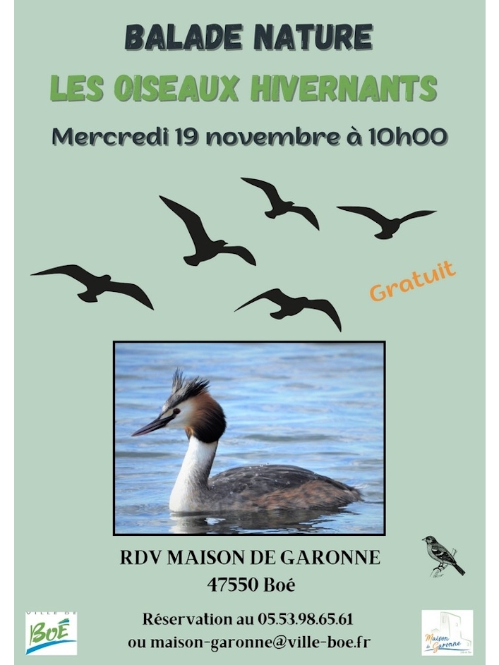 Balade à la découverte des oiseaux hivernants
