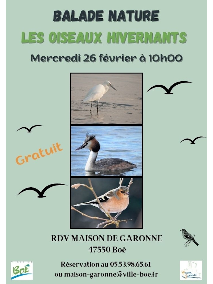 Balade à la découverte des oiseaux hivernants