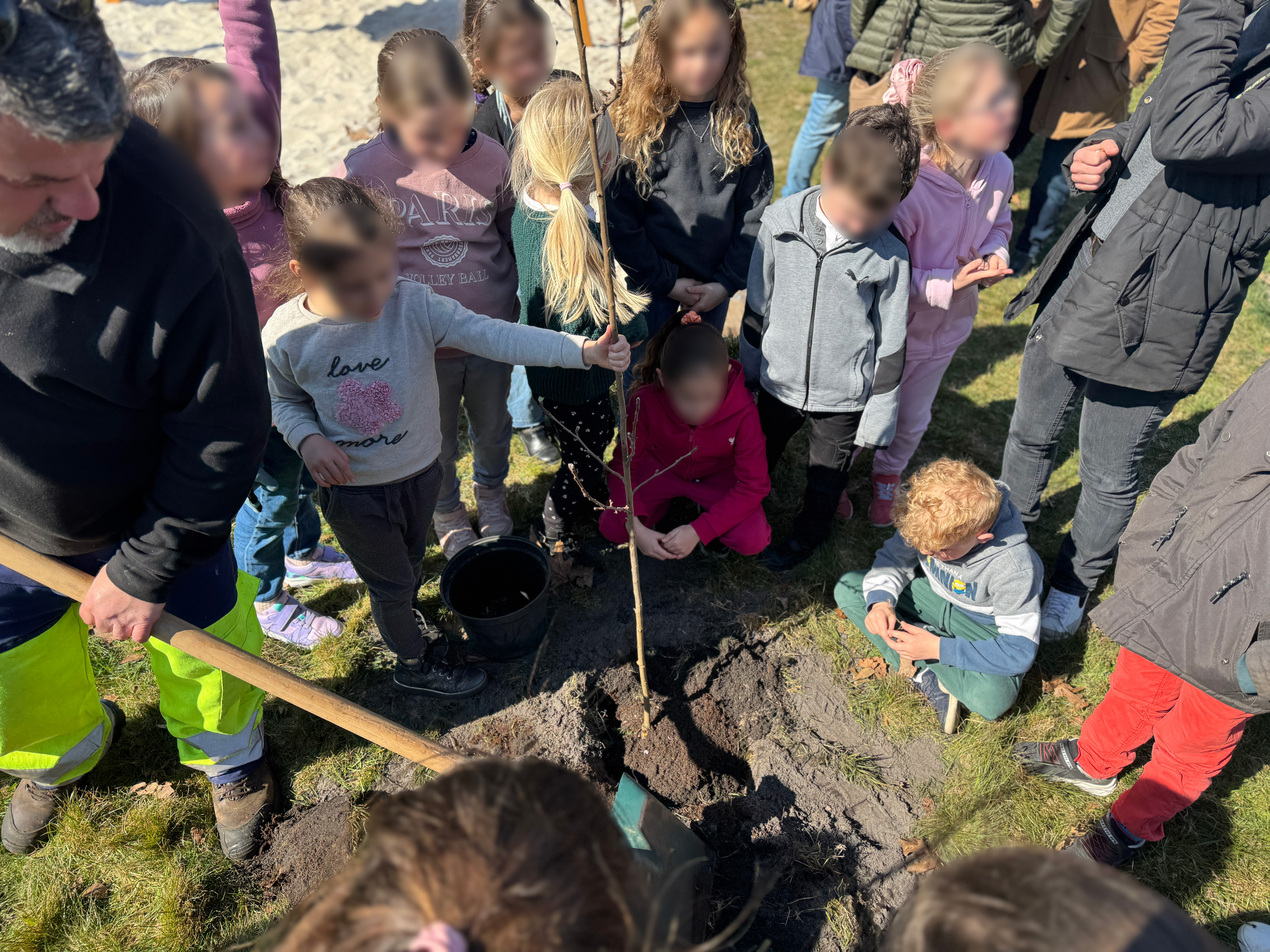 Des fruitiers pour un quartier plus vert !
