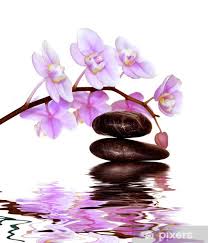 Attention séance du samedi 03 juillet 