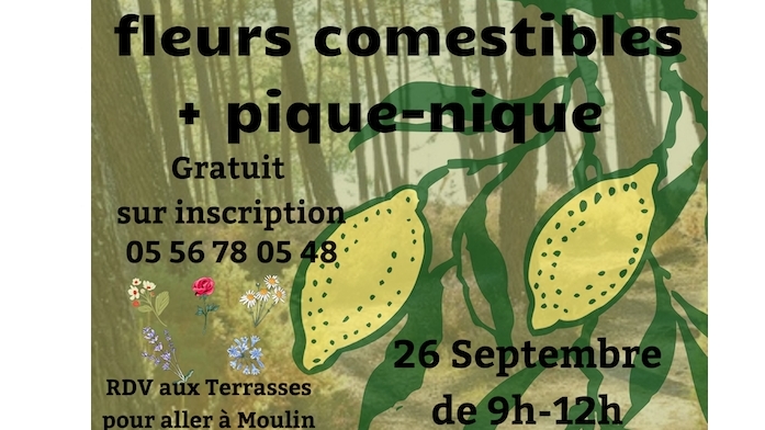 Petite balade à la recherche des fleurs comestibles - lundi 26 septembre