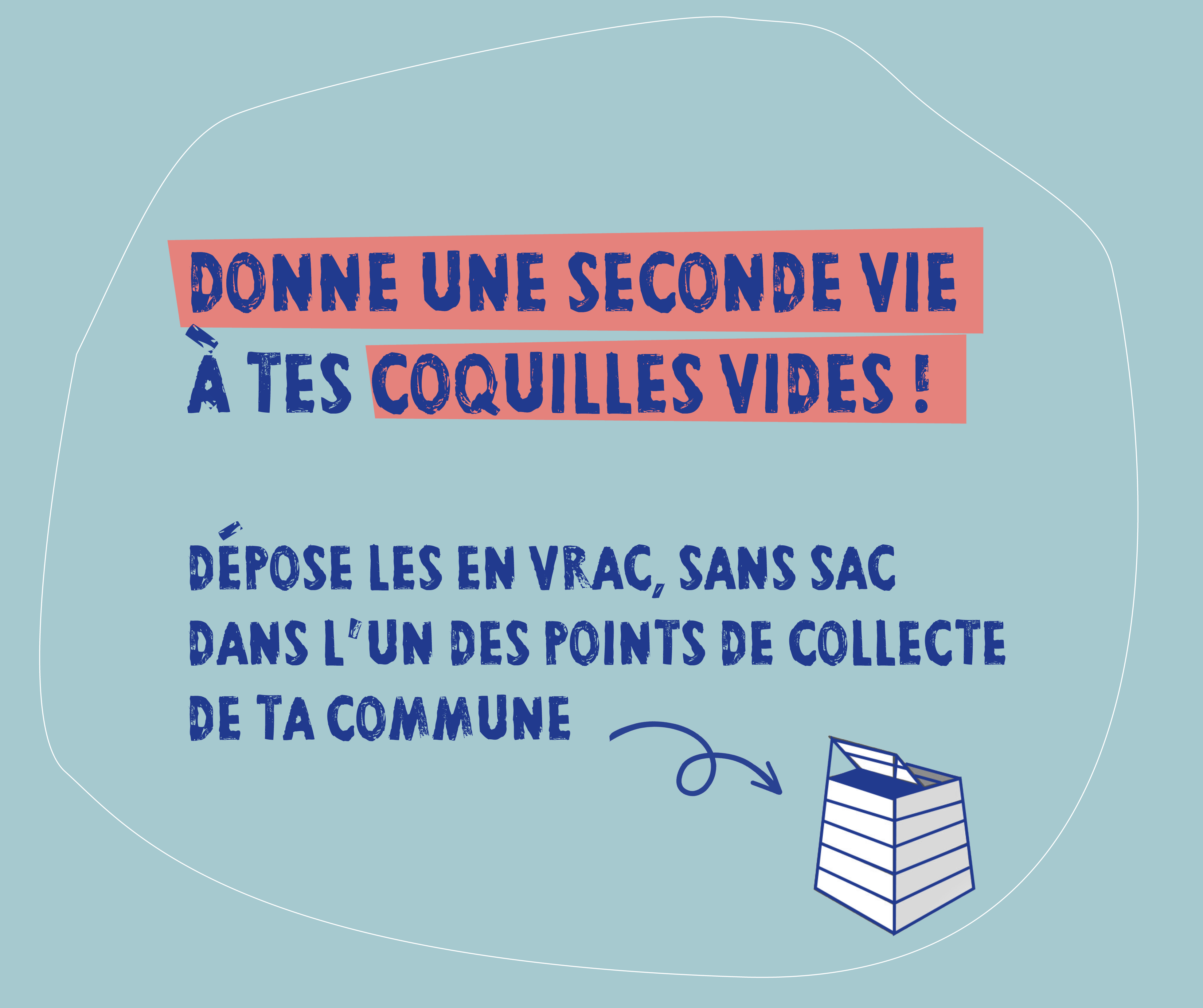 Collecte des coquilles pour les fêtes de fin d’année