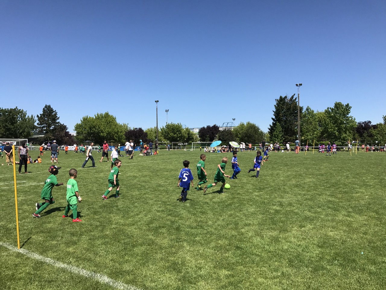 Tournois des jeunes footballeurs