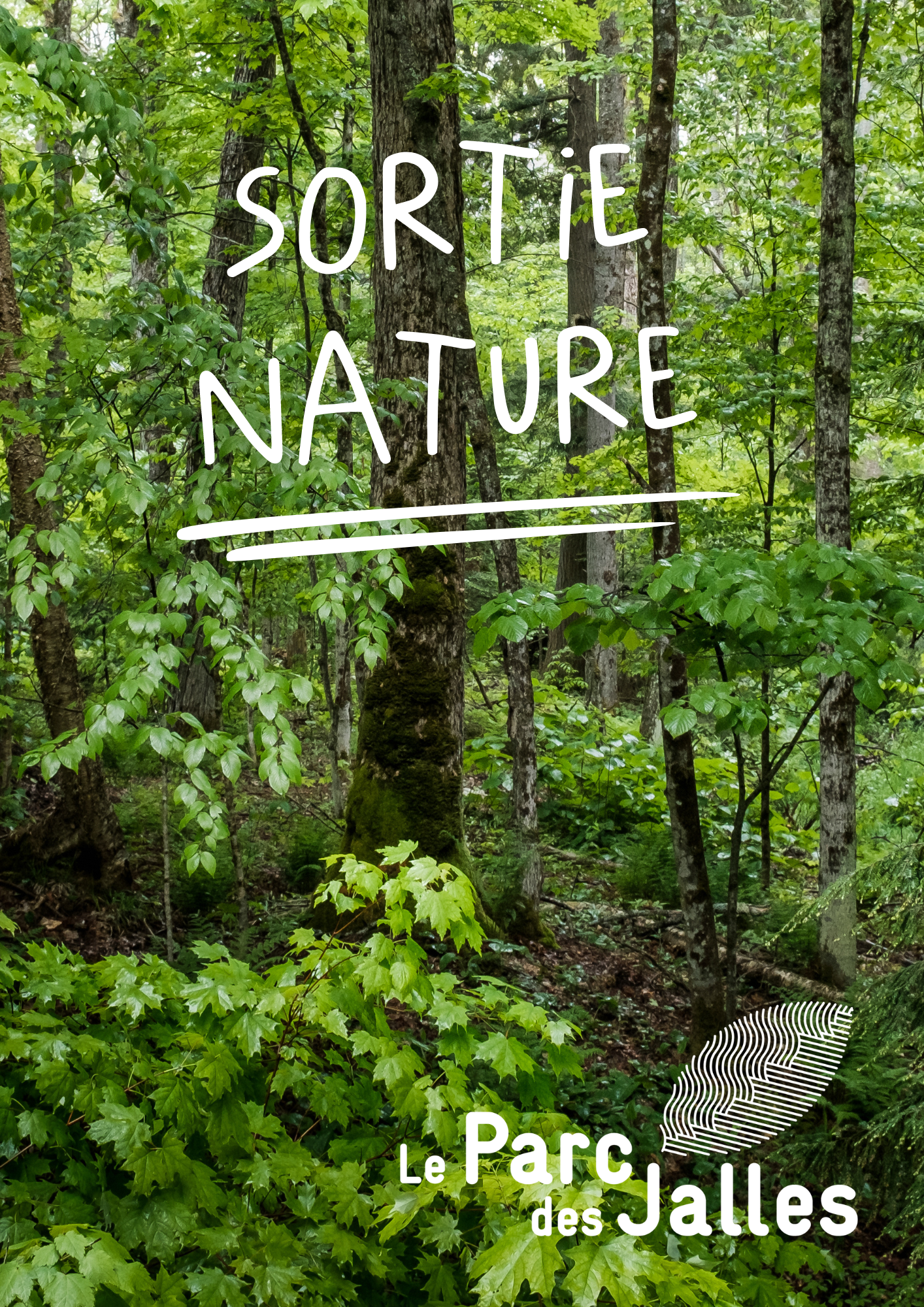 A la recherche des traces et indices laissés par les animaux