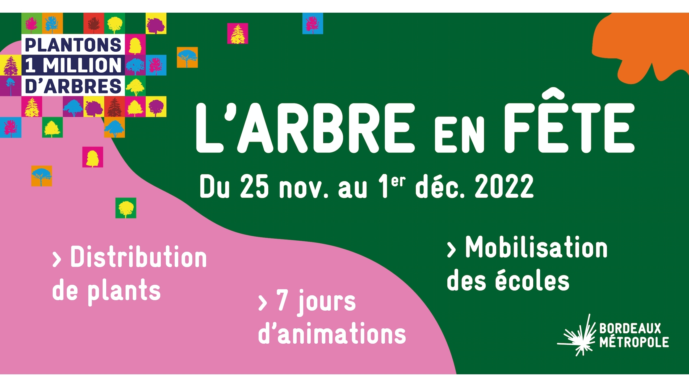 Distribution de plants dans le cadre de L'Arbre en fête