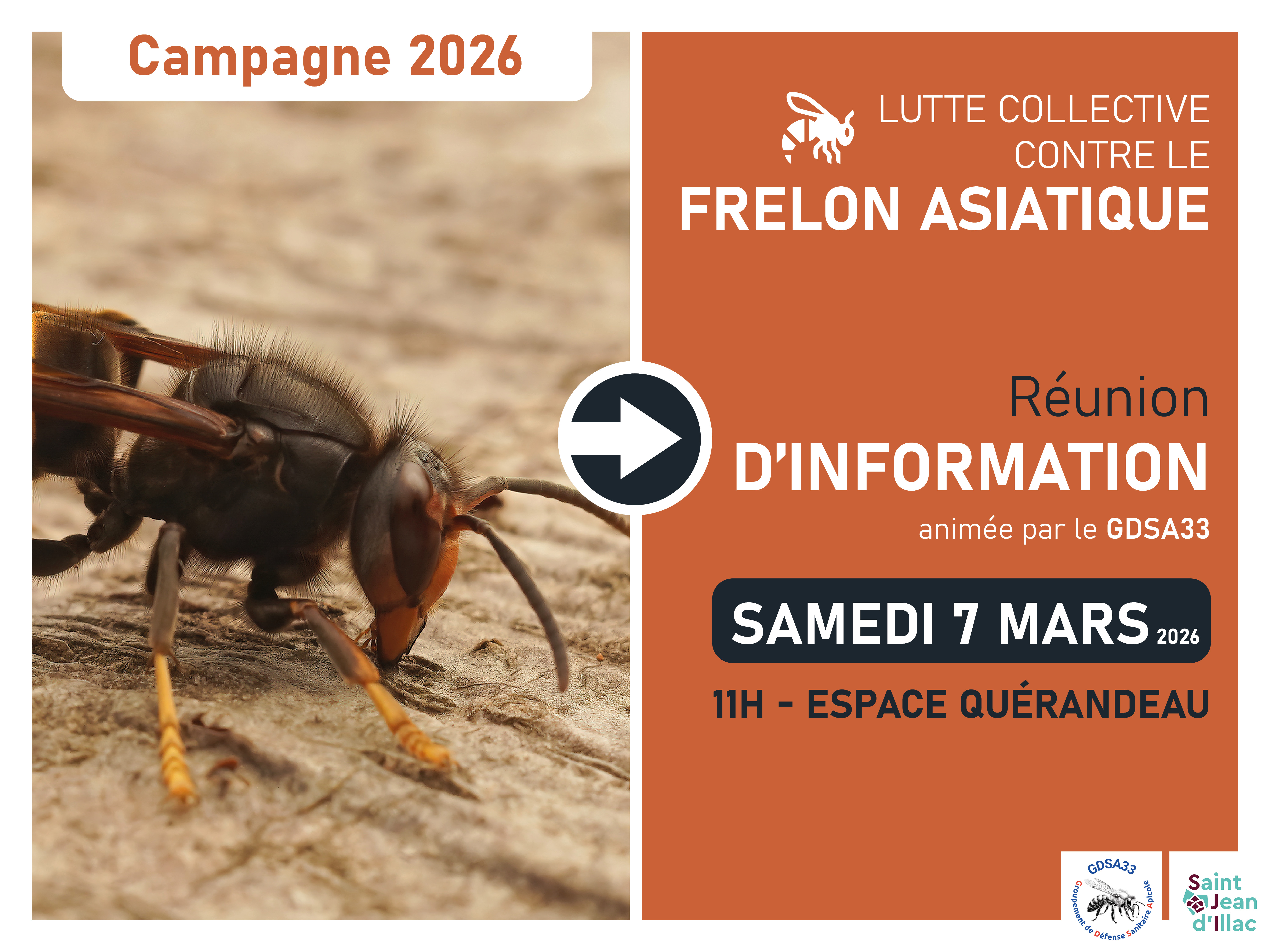 Réunion d'information - Frelon asiatique