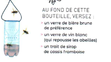 Piégeage des Frelons asiatique