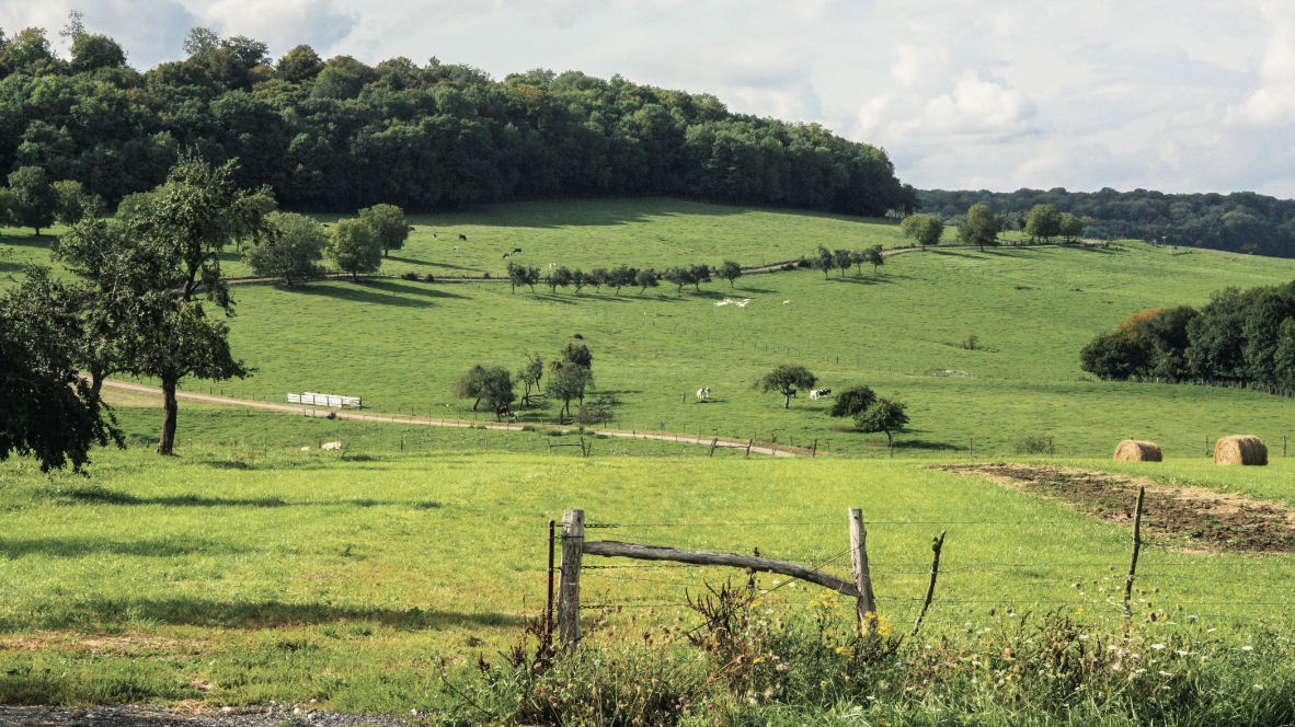 Les écuries du Vitto