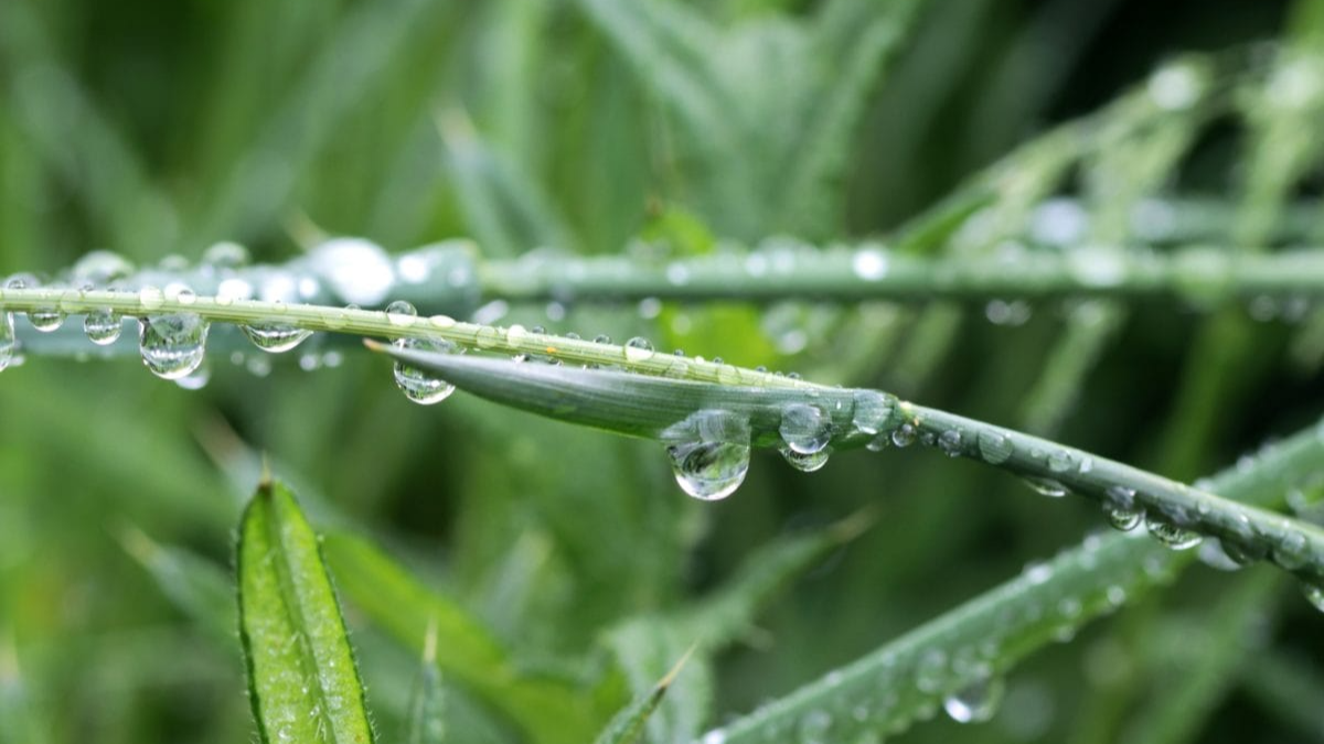 Animations autour de l'eau