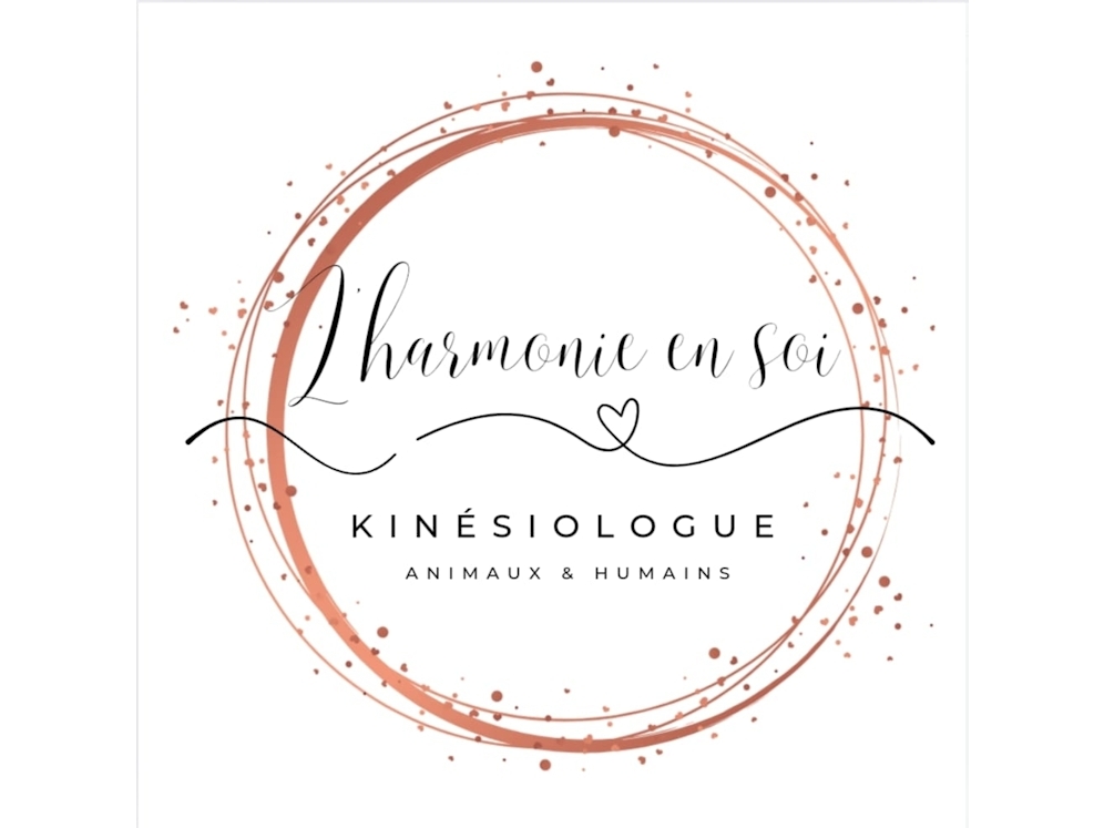 Découvrez la kinésiologie 