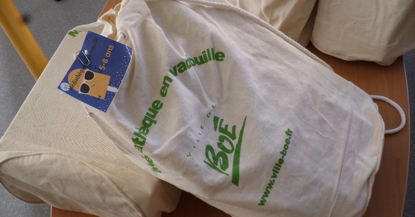 « Médiathèque en vadrouille » 