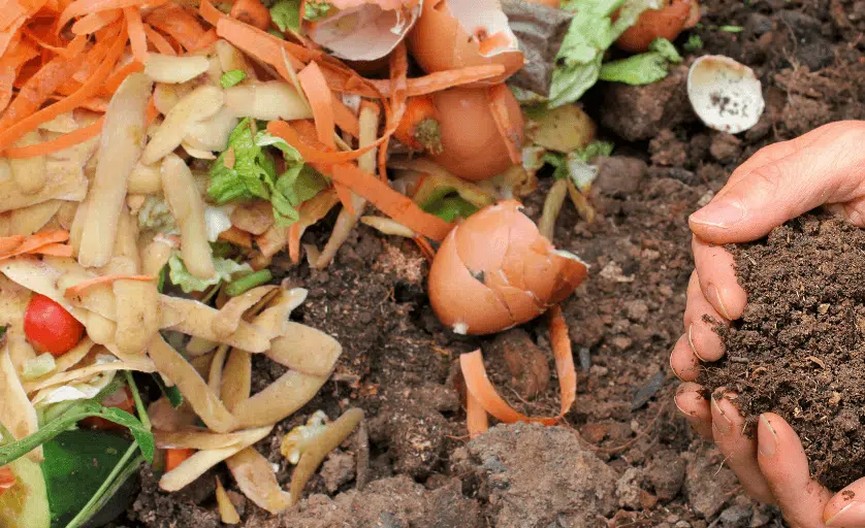 2024, l’année des biodéchets alimentaires