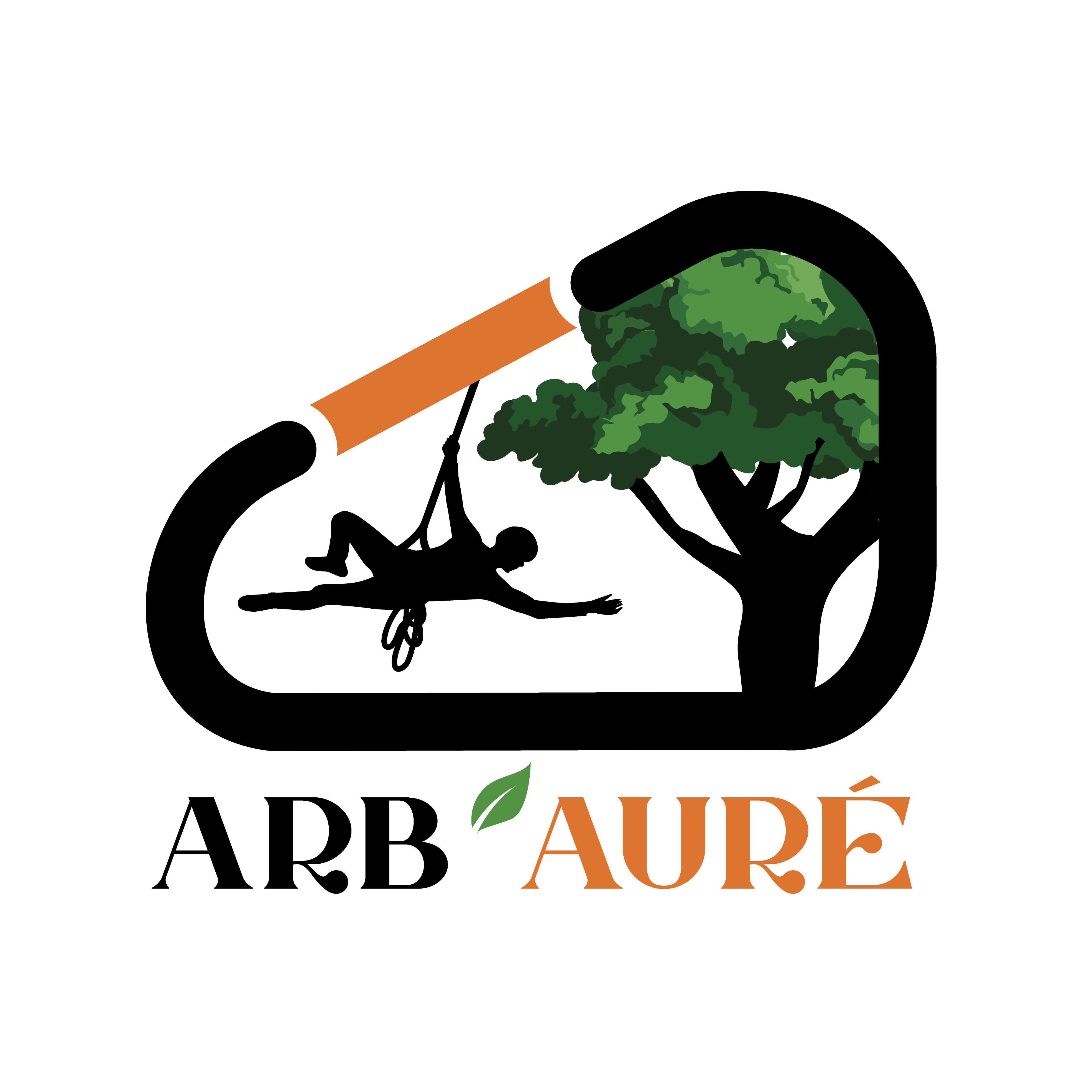 Arb'Auré  L'élagage équilibré 