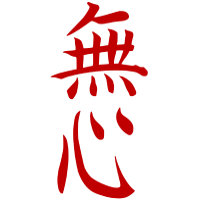 Mushin Ryu - Jujitsu