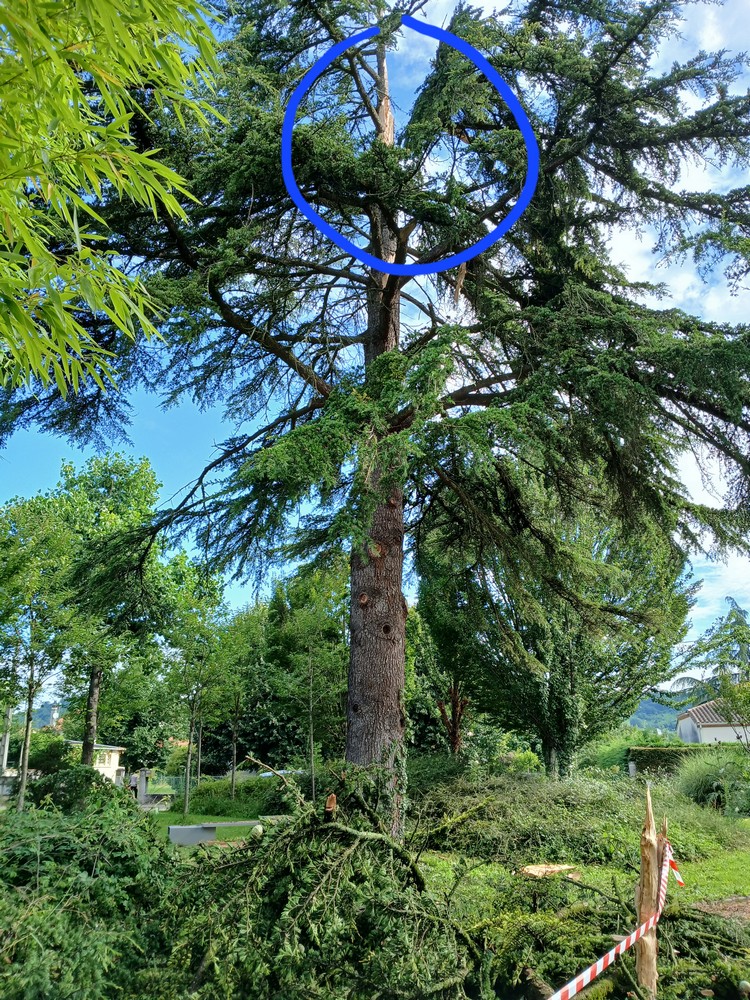 Coup de foudre à Boé