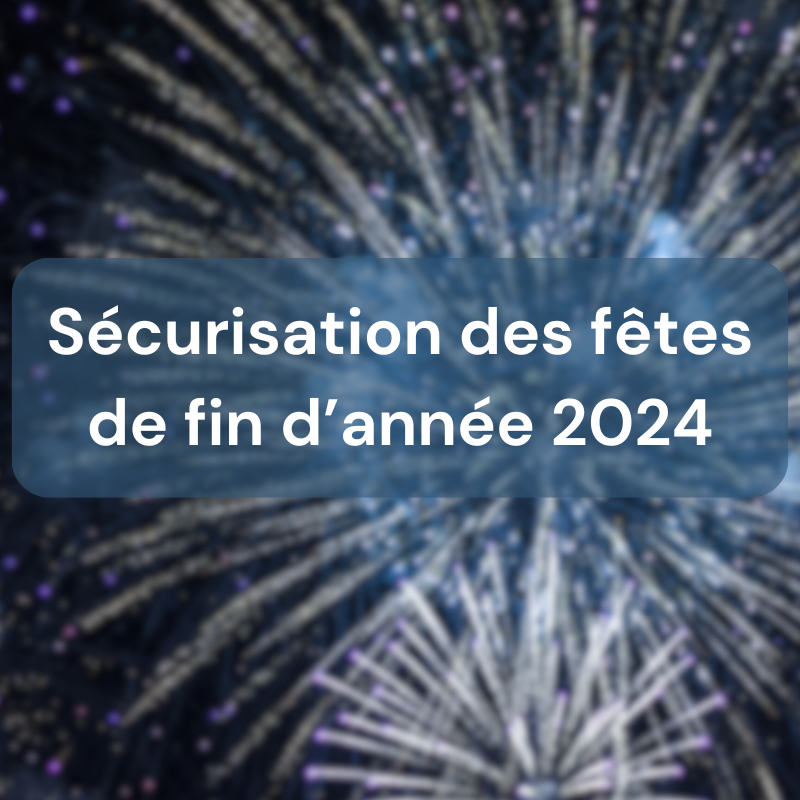 Sécurisation des fêtes de fin d'année 2024