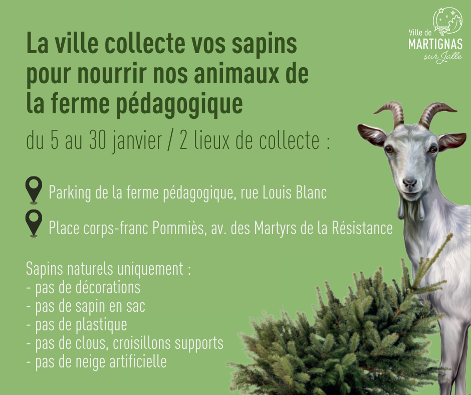 La ville collecte vos sapins de Noël !