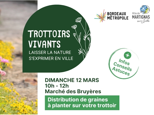 Trottoirs vivants : laisser la nature s'exprimer en ville