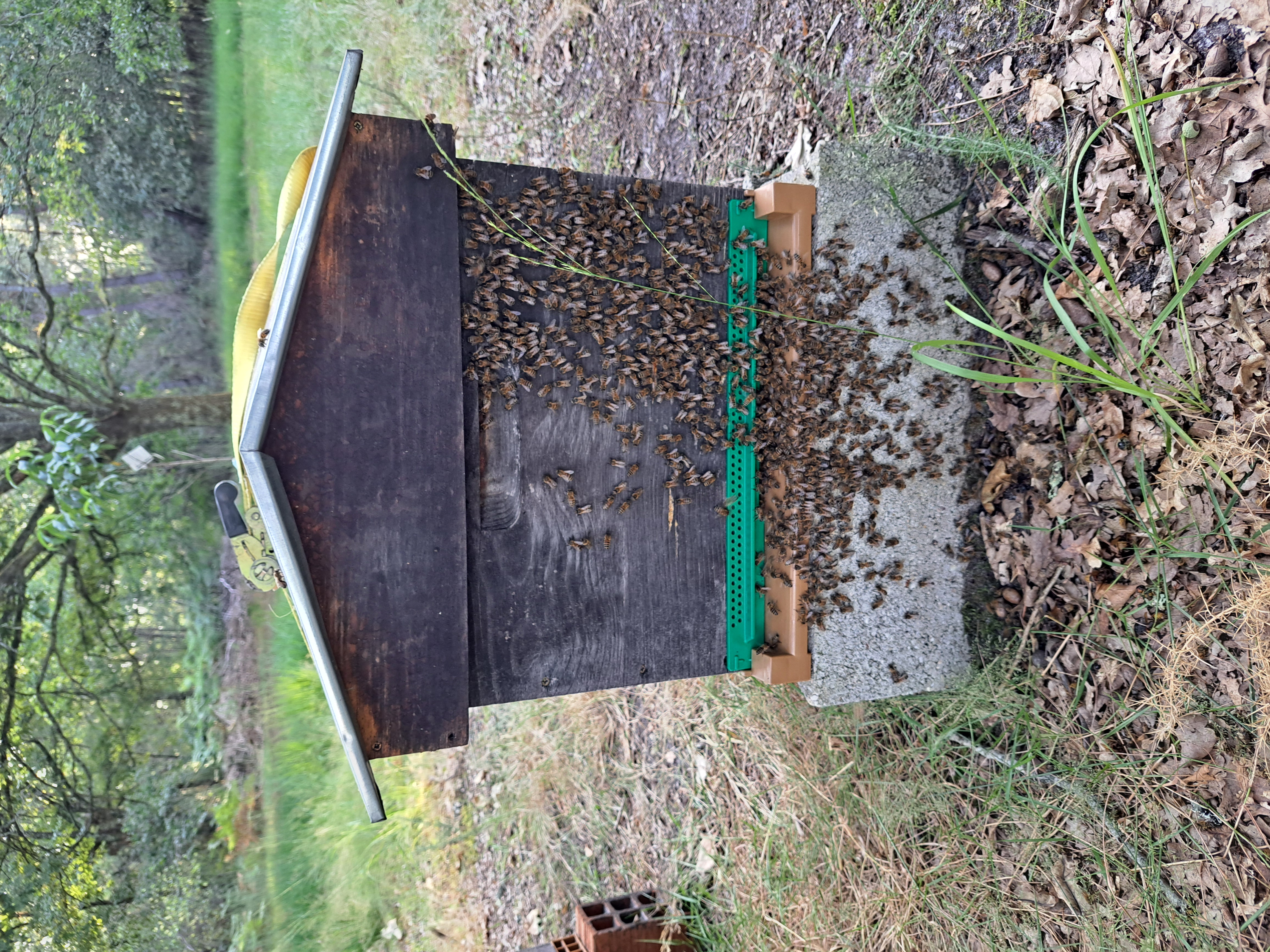 Assemblée Générale 