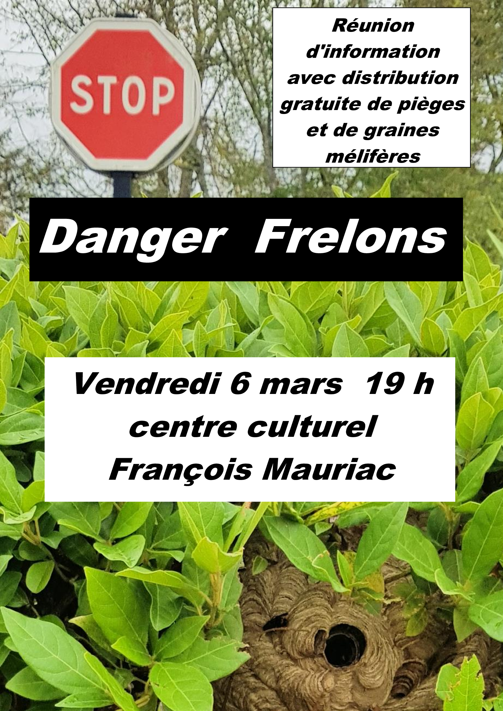 conférence sur le frelon asiatique