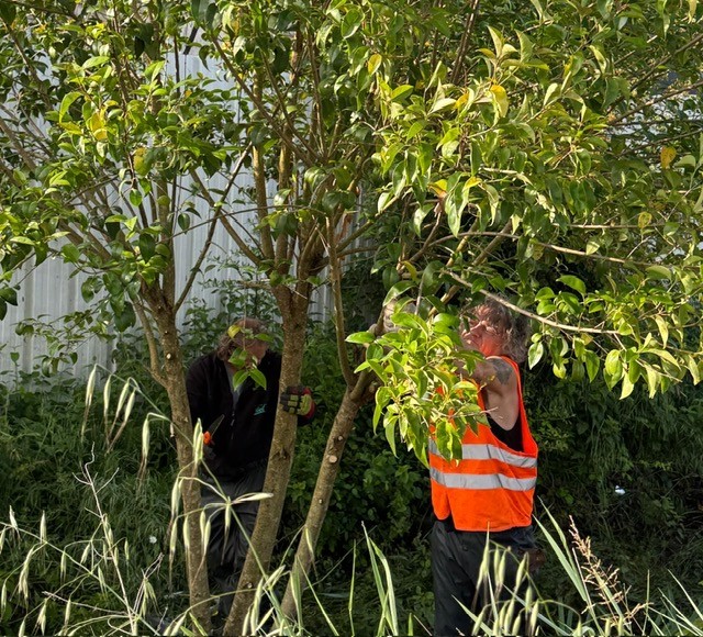 Entretien du Mondot : des actions concrètes au service des riverains