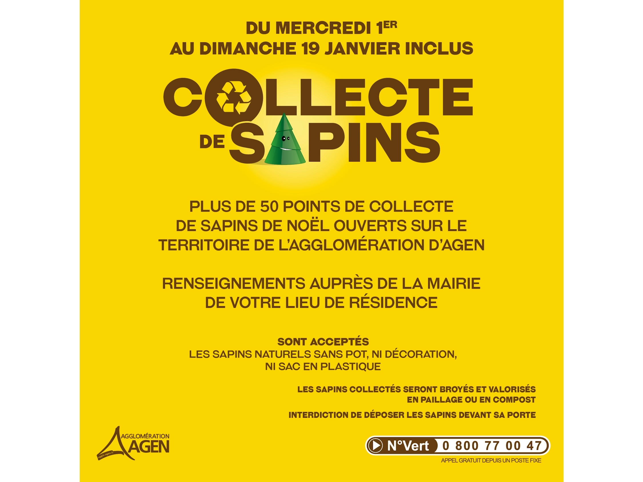 Collecte de sapins du 1er au 19 janvier 2025