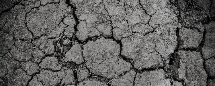 Dispositif de soutien aux victimes de l’épisode de sècheresse-réhydratation des sols de 2018